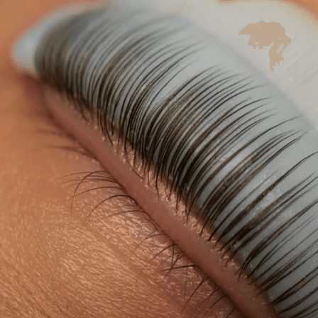 BOGO Lash Lift & Tint at daydream salon in Allenwood, PA